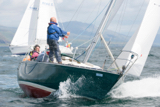 oystercatcher 3245c whyw16 thur 800 4681w